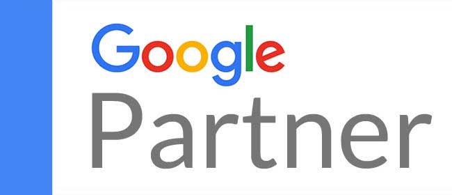 Google Partner- Webapic