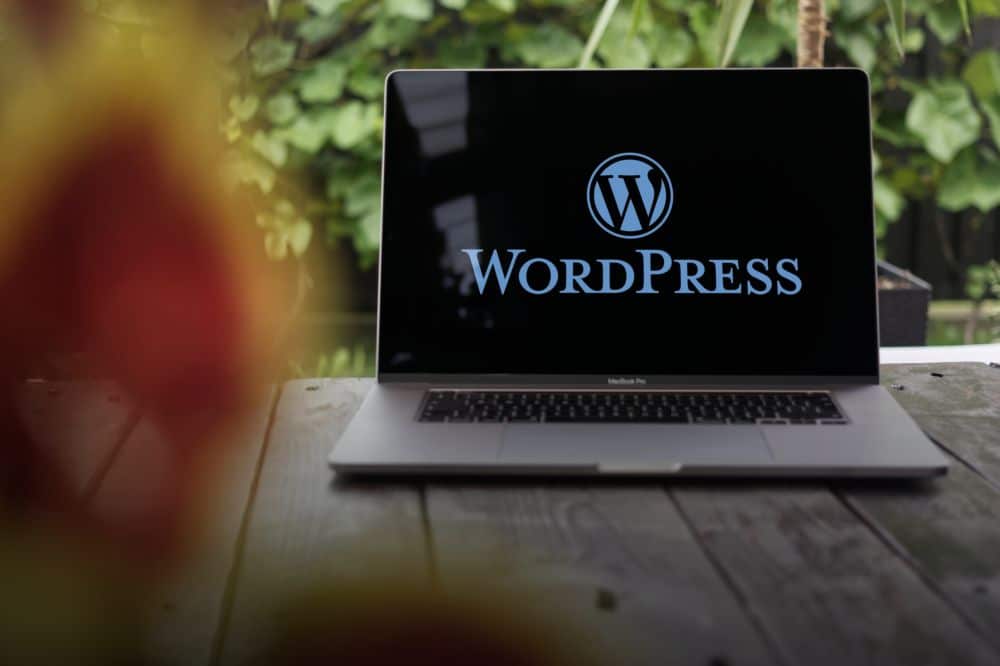 Création-site-WordPress-Webapic