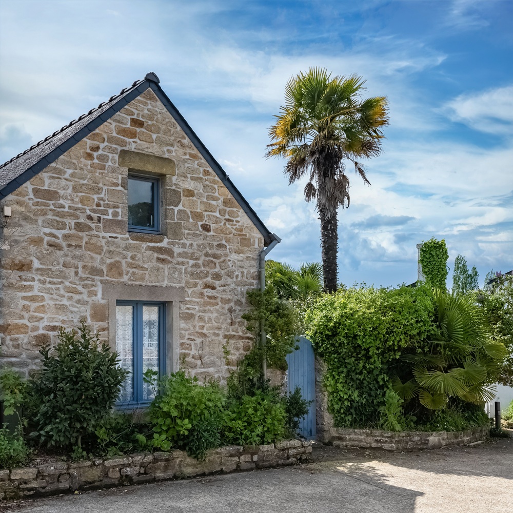 creation-site-vitrine-bsn-habitat